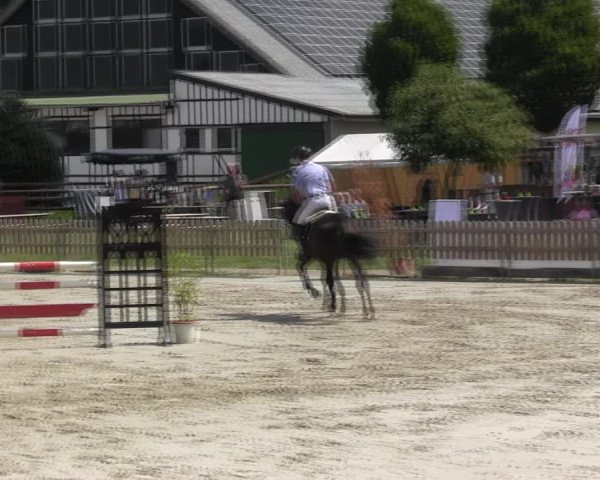Reitturnier Schülp / Rendsburg 2018
