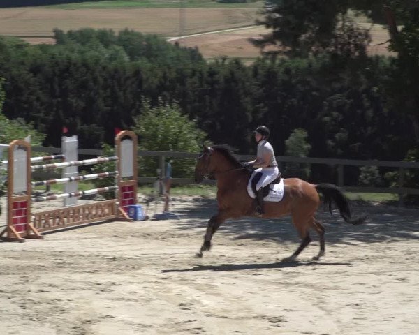 Reitturnier Kalenborn Hegehof 2018