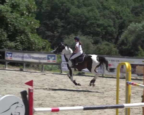 Reitturnier Kalenborn Hegehof 2018