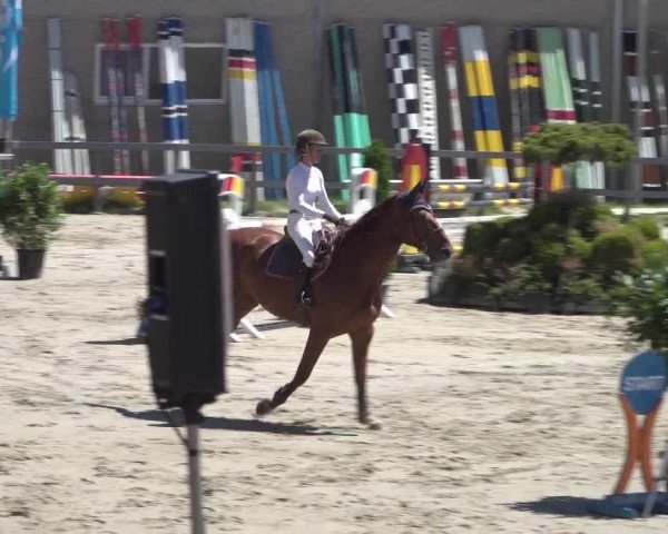 Reitturnier Kalenborn Hegehof 2018