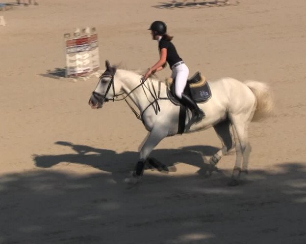 Reitturnier Ingolstadt-Hagau KPVI-Meisterschaft 2018