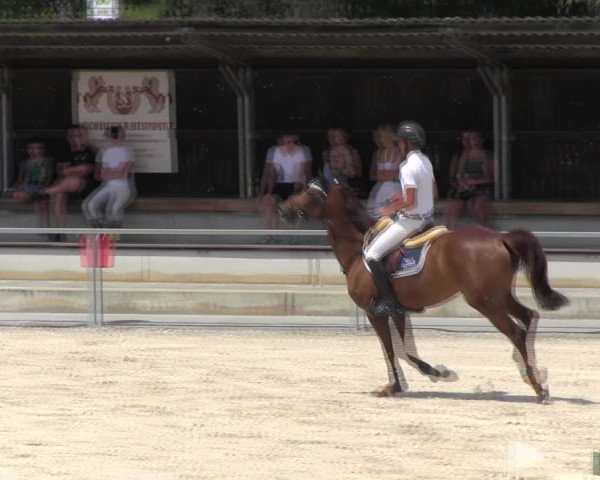 Reitturnier Ingolstadt-Hagau KPVI-Meisterschaft 2018