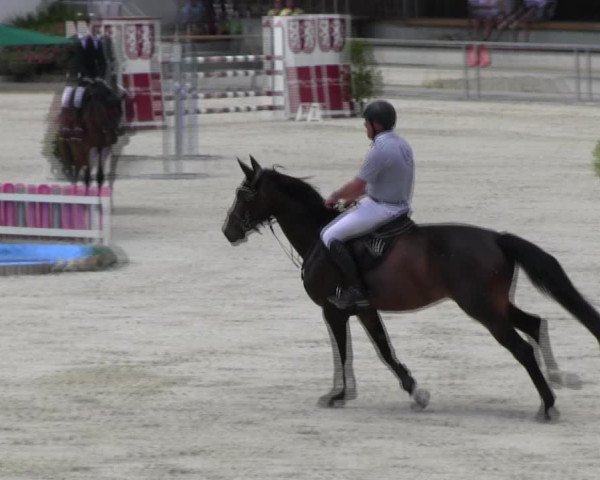 Reitturnier Ingolstadt-Hagau KPVI-Meisterschaft 2018