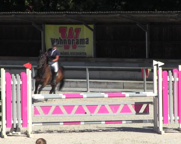 Reitturnier Ingolstadt-Hagau KPVI-Meisterschaft 2018