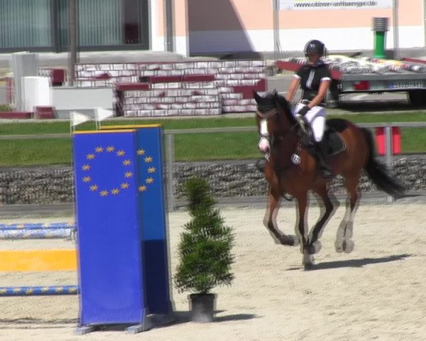 Reitturnier Ingolstadt-Hagau KPVI-Meisterschaft 2018