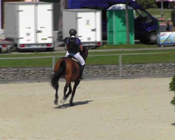 Reitturnier Ingolstadt-Hagau KPVI-Meisterschaft 2018