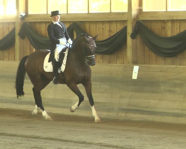 Reitturnier Pellheim-Gerblhof 2018