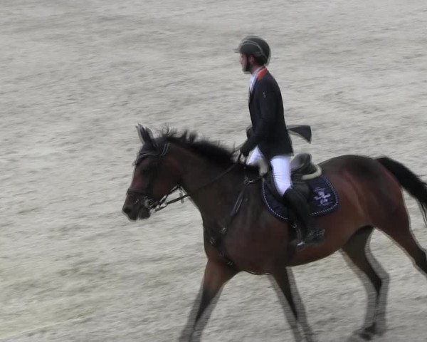 Reitturnier Ingolstadt-Hagau KPVI-Meisterschaft 2018