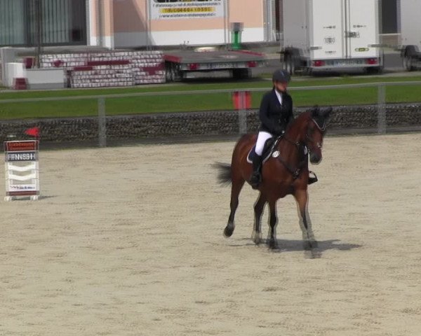 Reitturnier Ingolstadt-Hagau KPVI-Meisterschaft 2018