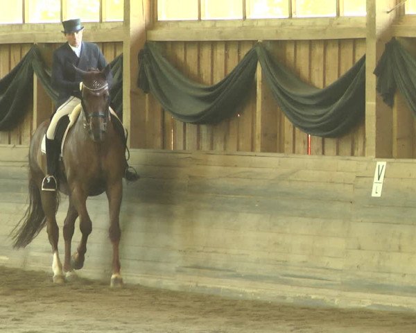 Reitturnier Pellheim-Gerblhof 2018