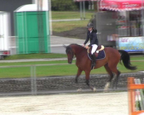 Reitturnier Ingolstadt-Hagau KPVI-Meisterschaft 2018