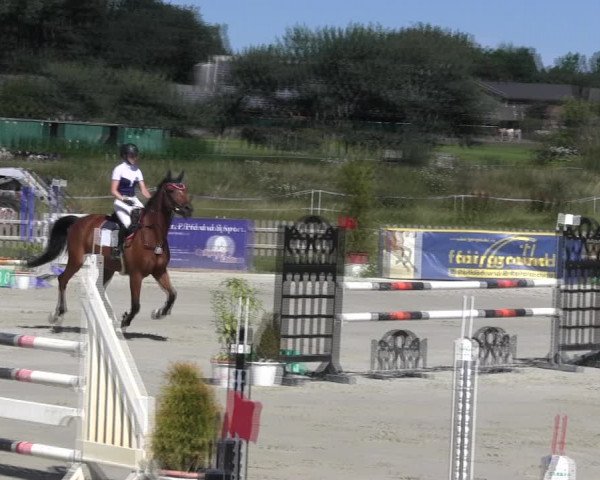 Reitturnier Schülp / Rendsburg 2018