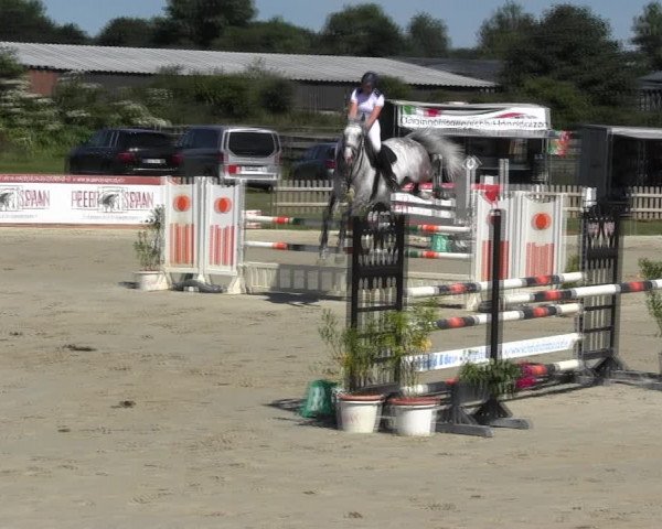 Reitturnier Schülp / Rendsburg 2018