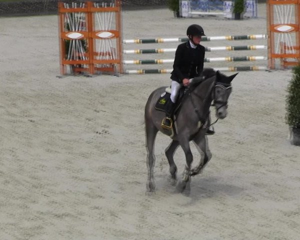Reitturnier Ingolstadt-Hagau KPVI-Meisterschaft 2018