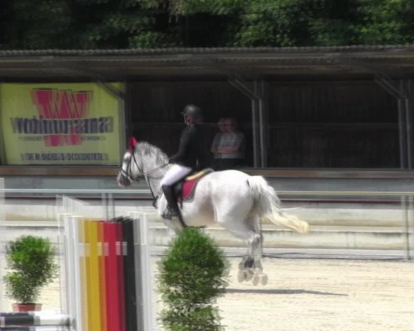 Reitturnier Ingolstadt-Hagau KPVI-Meisterschaft 2018