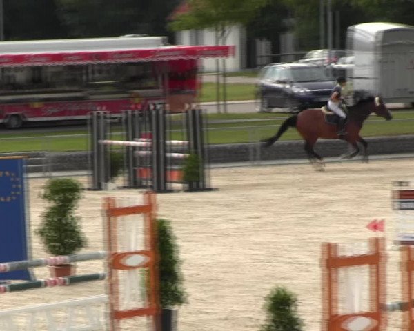 Reitturnier Ingolstadt-Hagau KPVI-Meisterschaft 2018
