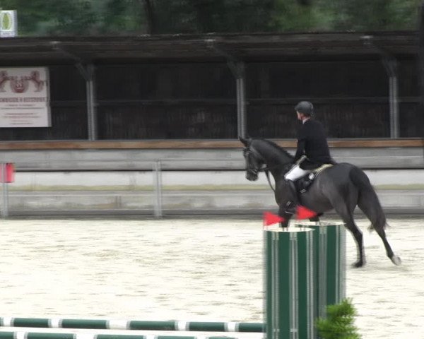 Reitturnier Ingolstadt-Hagau KPVI-Meisterschaft 2018