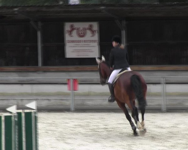 Reitturnier Ingolstadt-Hagau KPVI-Meisterschaft 2018