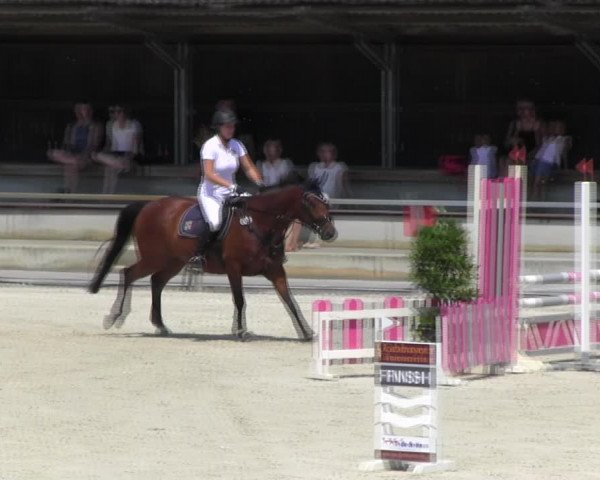 Reitturnier Ingolstadt-Hagau KPVI-Meisterschaft 2018