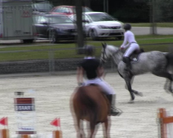 Reitturnier Ingolstadt-Hagau KPVI-Meisterschaft 2018