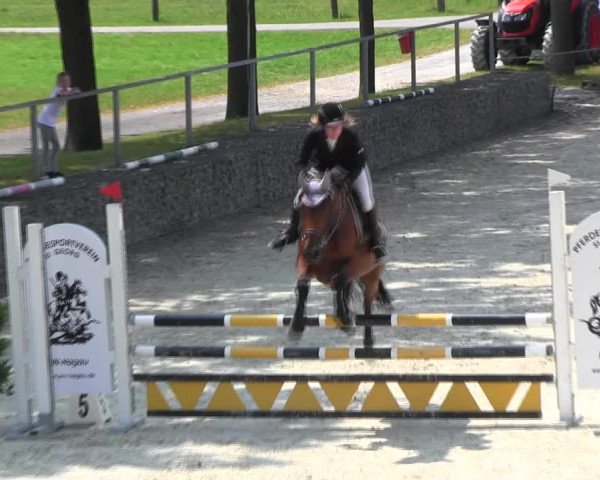 Reitturnier Ingolstadt-Hagau KPVI-Meisterschaft 2018
