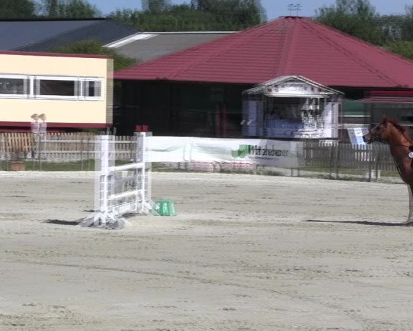 Reitturnier Schülp / Rendsburg 2018