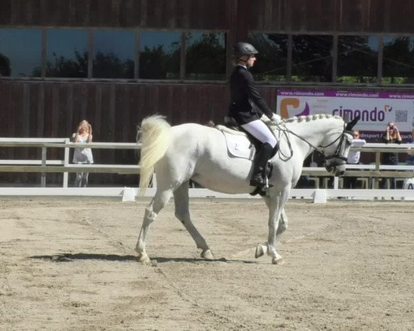 Reitturnier Pellheim-Gerblhof 2018