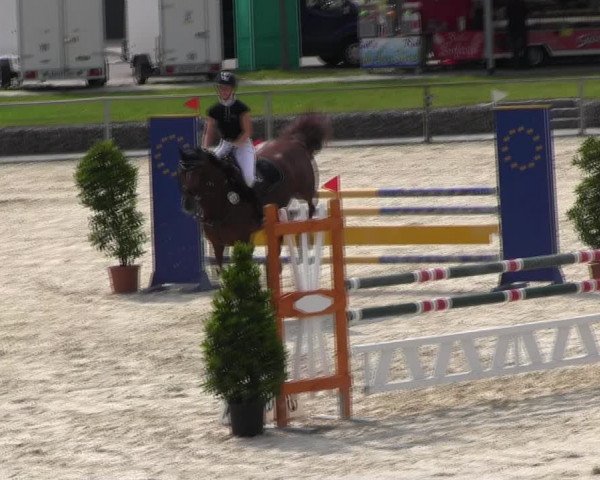 Reitturnier Ingolstadt-Hagau KPVI-Meisterschaft 2018