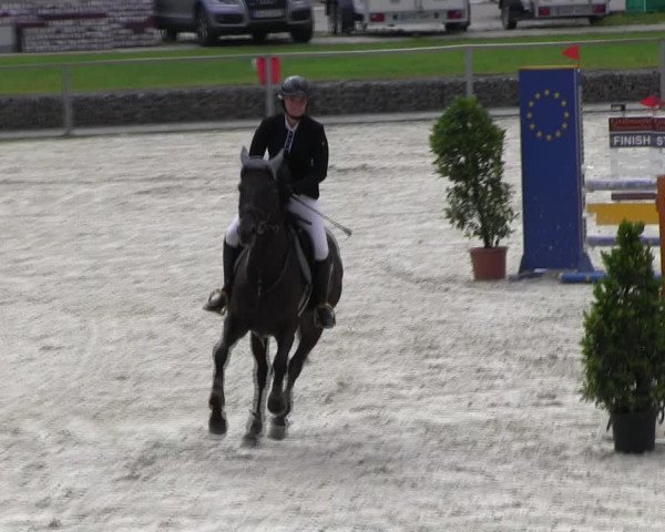 Reitturnier Ingolstadt-Hagau KPVI-Meisterschaft 2018