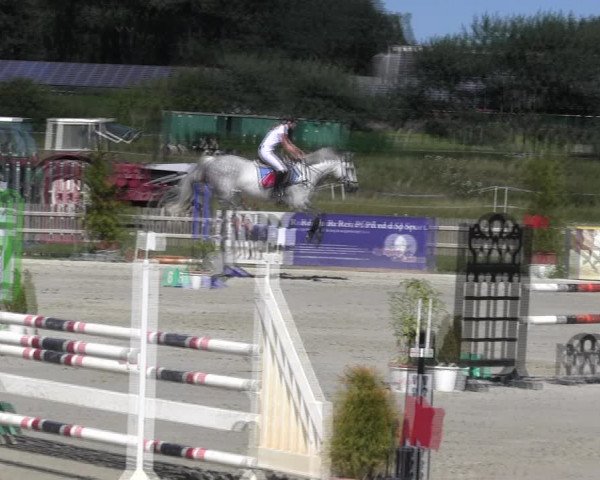 Reitturnier Schülp / Rendsburg 2018