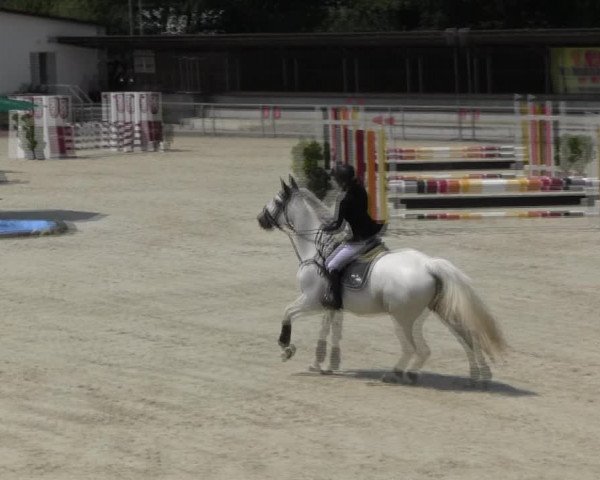Reitturnier Ingolstadt-Hagau KPVI-Meisterschaft 2018