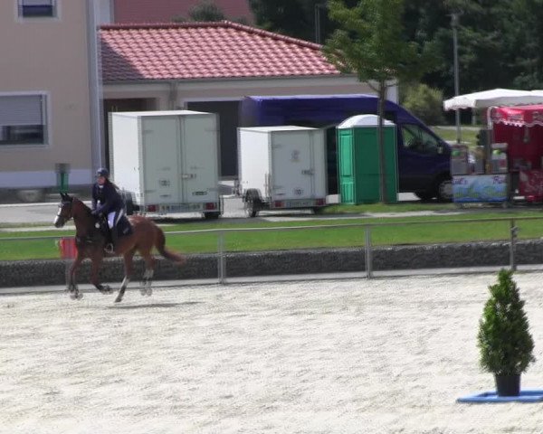 Reitturnier Ingolstadt-Hagau KPVI-Meisterschaft 2018