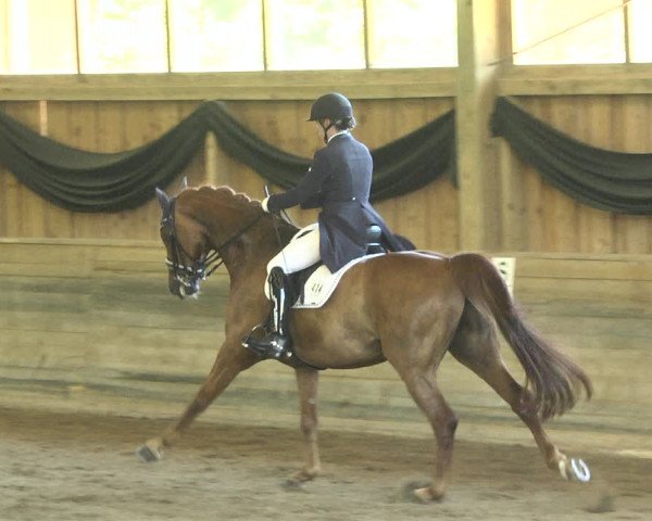 Reitturnier Pellheim-Gerblhof 2018