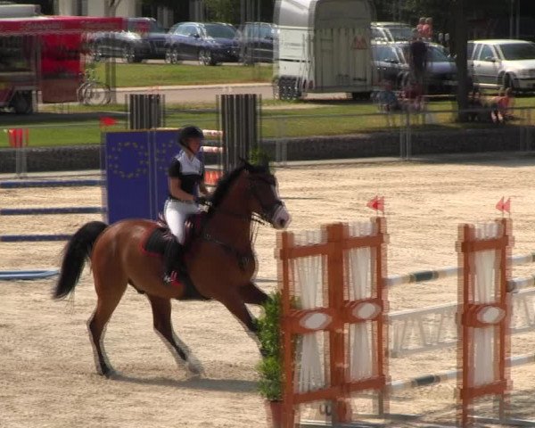 Reitturnier Ingolstadt-Hagau KPVI-Meisterschaft 2018
