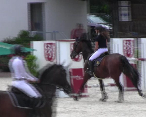 Reitturnier Ingolstadt-Hagau KPVI-Meisterschaft 2018