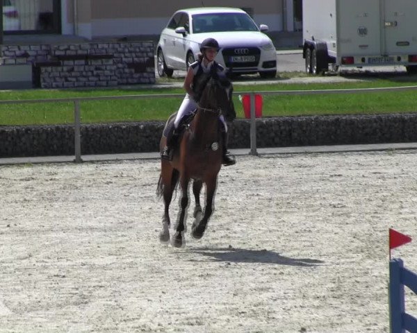 Reitturnier Ingolstadt-Hagau KPVI-Meisterschaft 2018