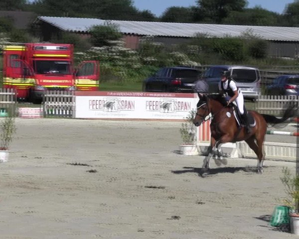 Reitturnier Schülp / Rendsburg 2018