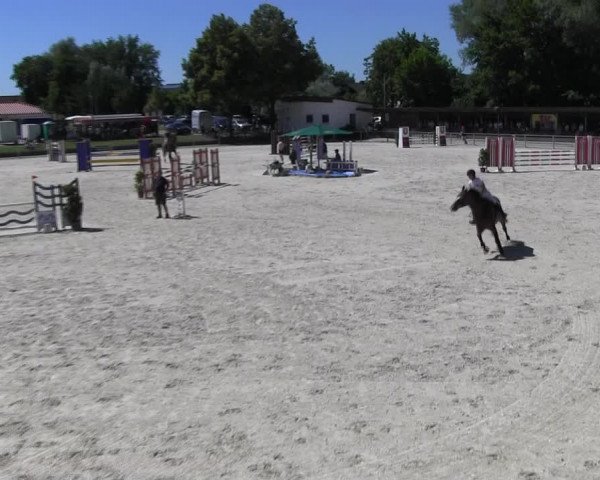 Reitturnier Ingolstadt-Hagau KPVI-Meisterschaft 2018