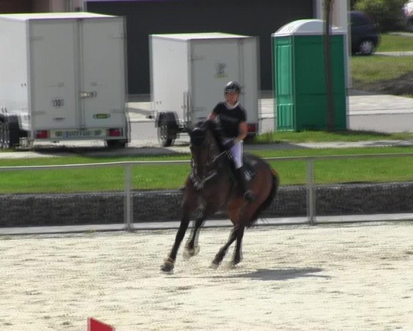 Reitturnier Ingolstadt-Hagau KPVI-Meisterschaft 2018
