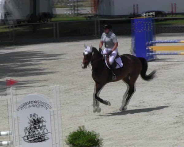 Reitturnier Ingolstadt-Hagau KPVI-Meisterschaft 2018
