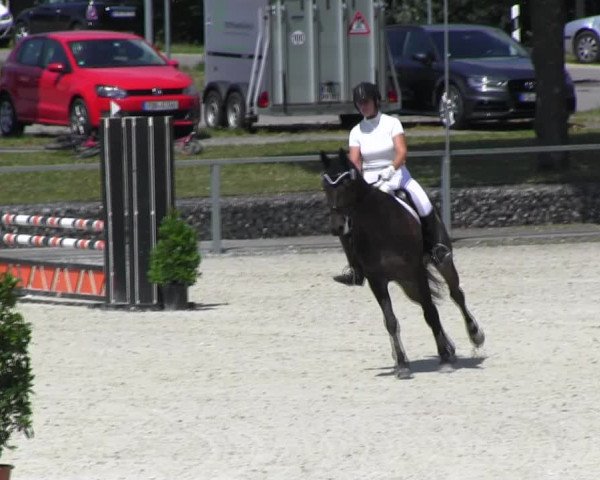 Reitturnier Ingolstadt-Hagau KPVI-Meisterschaft 2018