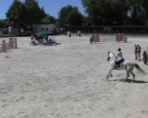 Reitturnier Ingolstadt-Hagau KPVI-Meisterschaft 2018