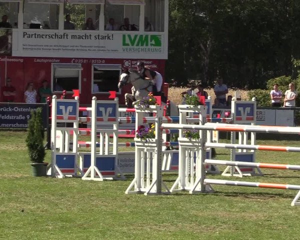 Reitturnier Delbrück-Ostenland 2018