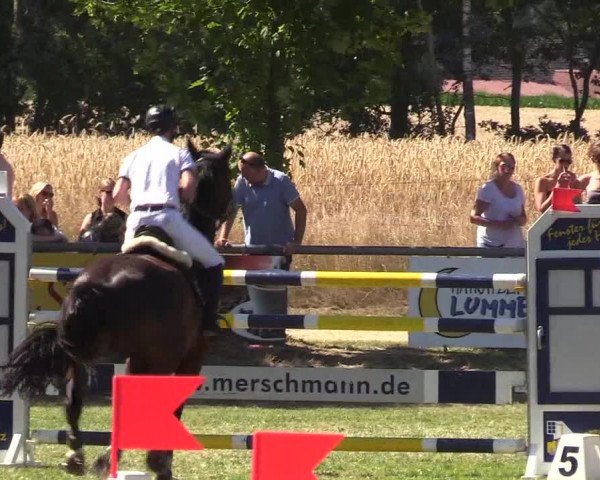 Reitturnier Delbrück-Ostenland 2018
