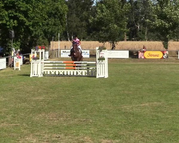 Reitturnier Delbrück-Ostenland 2018