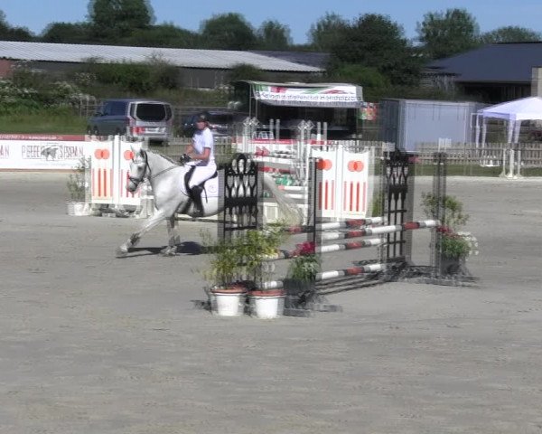 Reitturnier Schülp / Rendsburg 2018
