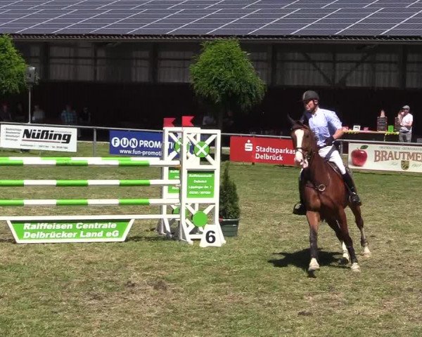 Reitturnier Delbrück-Ostenland 2018