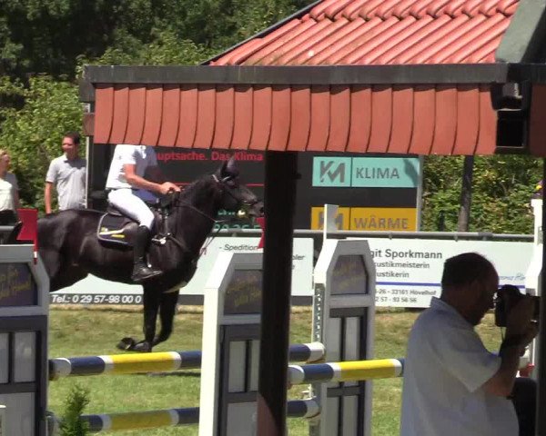Reitturnier Delbrück-Ostenland 2018