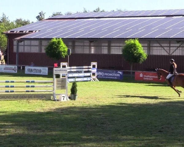 Reitturnier Delbrück-Ostenland 2018
