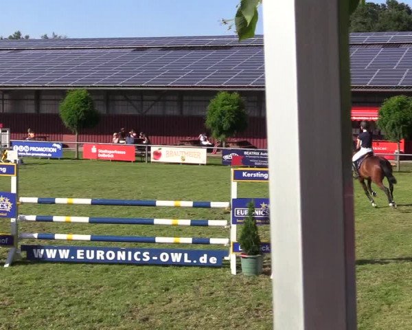 Reitturnier Delbrück-Ostenland 2018